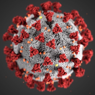 Coronavirus model