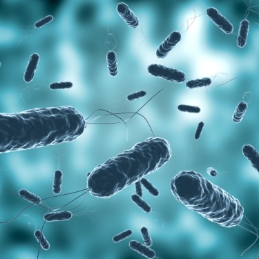 Cholera under a microscope
