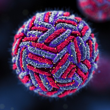 Dengue virus