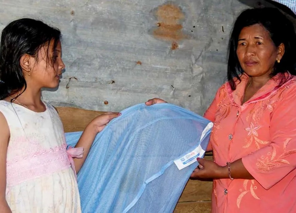 Two women holding a mosquito bed net to prevent malaria.
